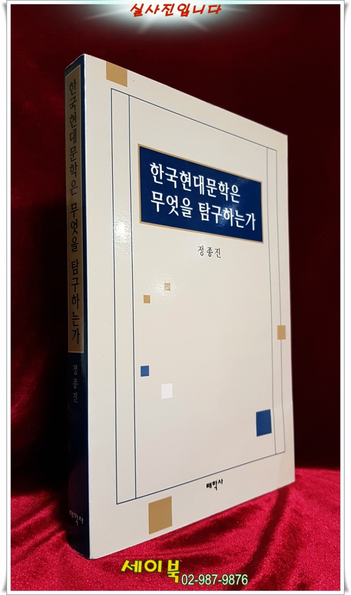 한국 현대문학은 무엇을 탐구하는가 <저자서명본>