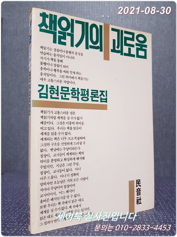책읽기의 괴로움 - 김현문학평론집