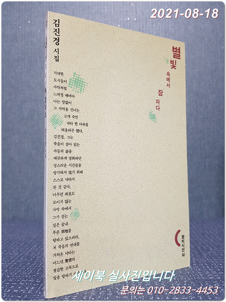 별빛 속에서 잠자다 - 김진경시집 (창비시선 143) <1996년 초판>