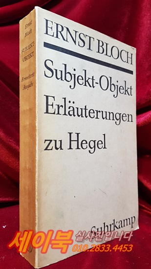 Subjekt - Objekt. Erläuterungen zu Hegel (Deutsch) 