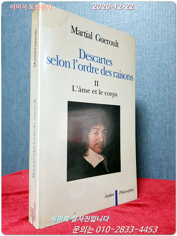 Descartes selon l'ordre des raisons - Vol II (French Edition)