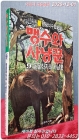 맹수와 사냥꾼9 (동물학자와 사냥꾼) - 김왕석 수렵소설 상품 이미지