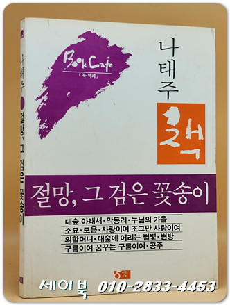 절망, 그 검은 꽃송이 - 시인 나태주 수상록 <1984 초판> 희귀본