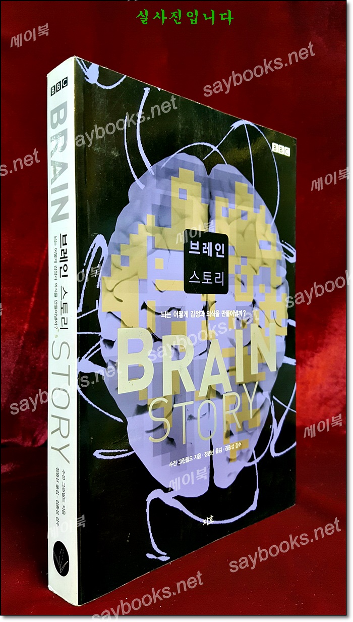 브레인 스토리 - 뇌는 어떻게 감정과 의식을 만들어낼까? (원제 Brain Story )