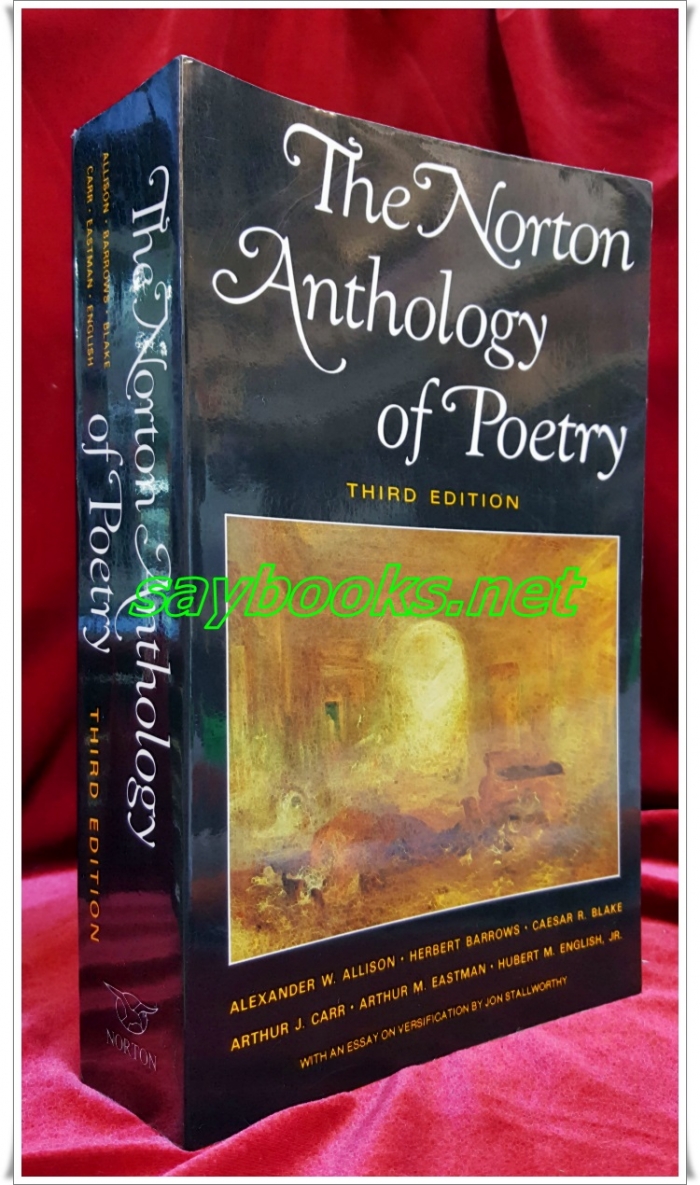 노턴 시집 Norton Anthology of Poetry (Paperback, 3rd)