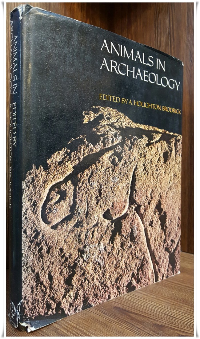 원서) 동물 고고학  Animals in Archaeology Hardcover  – March 30, 1972  /​ Edited by A. Houghton Brodrick