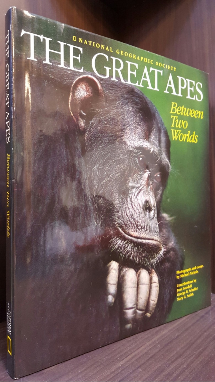 The Great Apes (유인원): Between Two Worlds by Nichols, Michael (1993) Hardcover