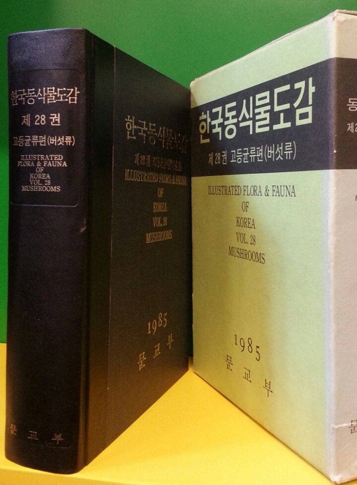 한국동식물도감 제28권 고등균류편 (버섯류) 962쪽