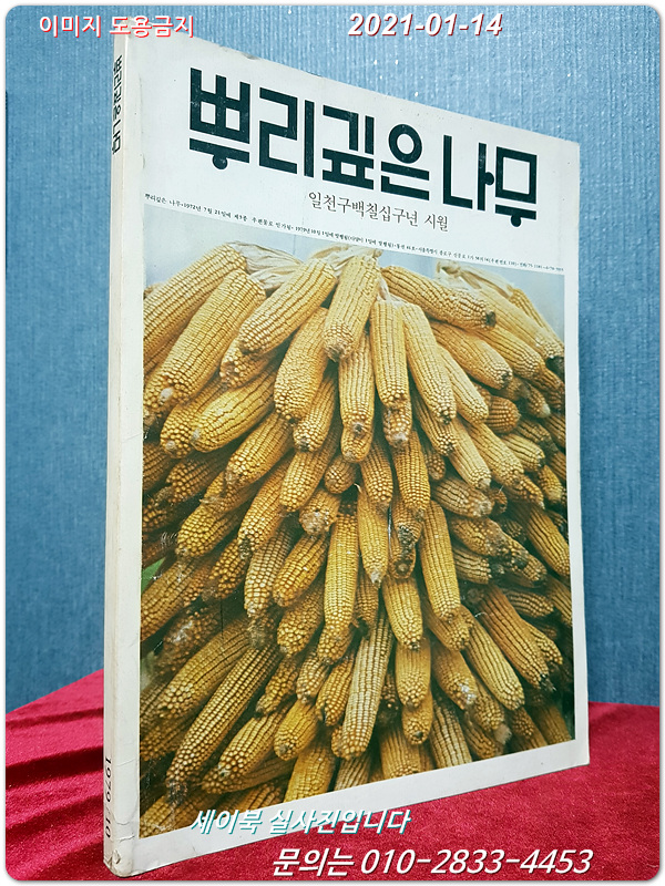 월간 뿌리깊은 나무 1979년 10월호 (통권 44호)