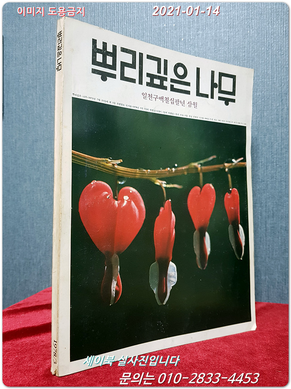 월간 뿌리깊은 나무 1978년 3월호 (통권 25호)