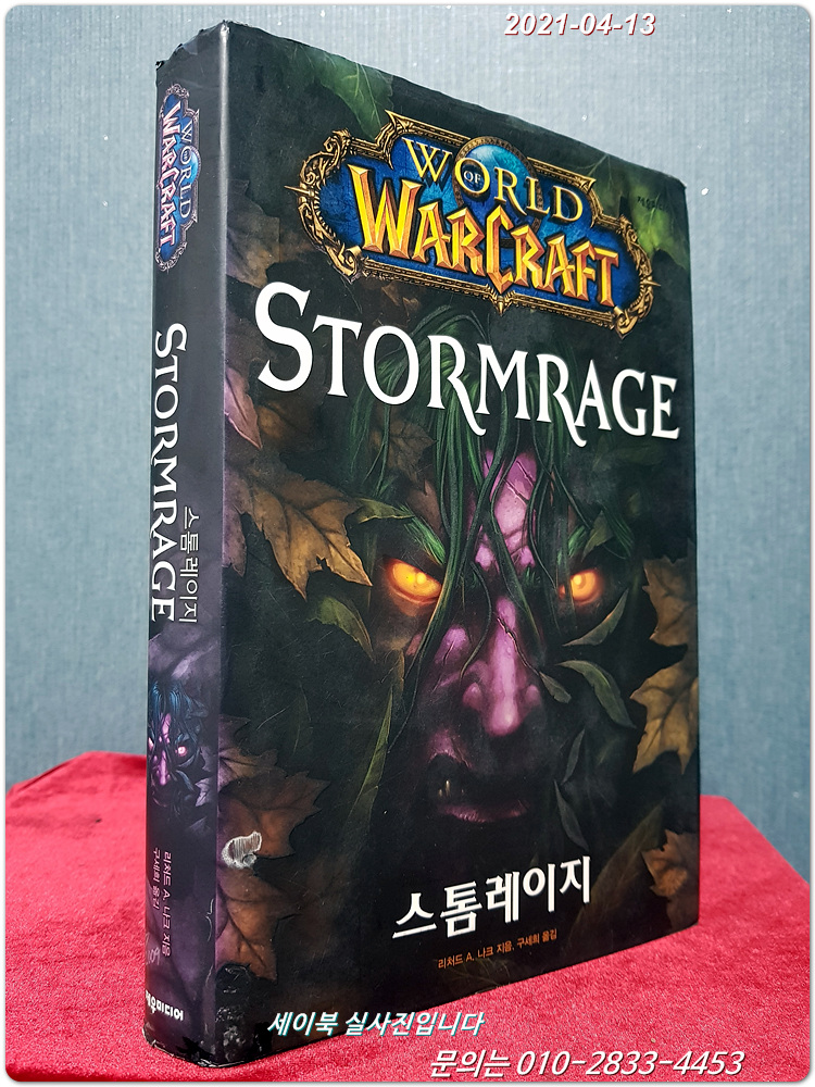 월드 오브 워크래프트 스톰레이지