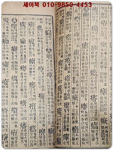 증보규장전운 한선문 신옥편(增補奎章全韻 漢鮮文新玉篇)상,하-2책/ 1919년5월 발행본 