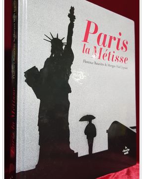 Paris la Metisse (French) Hardcover  – 2008 