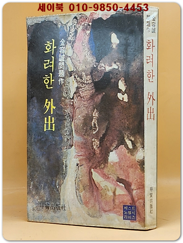 화려한 외출 - 김용성 문제작