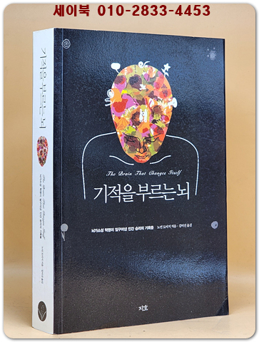 기적을 부르는 뇌 - 뇌가소성 혁명이 일구어낸 인간 승리의 기록들 /원제 : The Brain That Changes Itself 상품 이미지