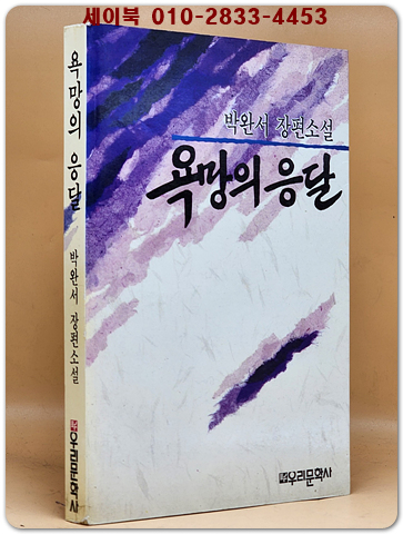 욕망의 응달 - 박완서 장편소설 상품 이미지