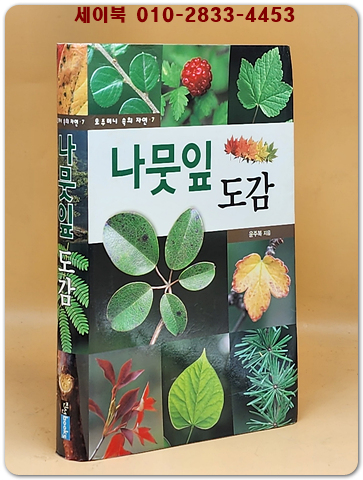 나뭇잎 도감 (호주머니 속의 자연) 상품 이미지
