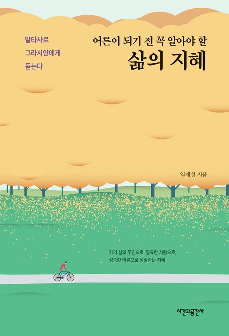 어른이 되기 전 꼭 알아야 할 삶의 지혜 - 발타사르 그라시안에게 듣는다 상품 이미지
