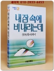 내 잠 속에 비 내리는데 - 이외수 에세이 <1985년 초판> 상품 이미지