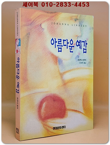 아름다운 예감 - 조안나 린지 장편소설