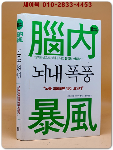 뇌내 폭풍 - '강박관념'으로 성과를 내는 몰입의 심리학