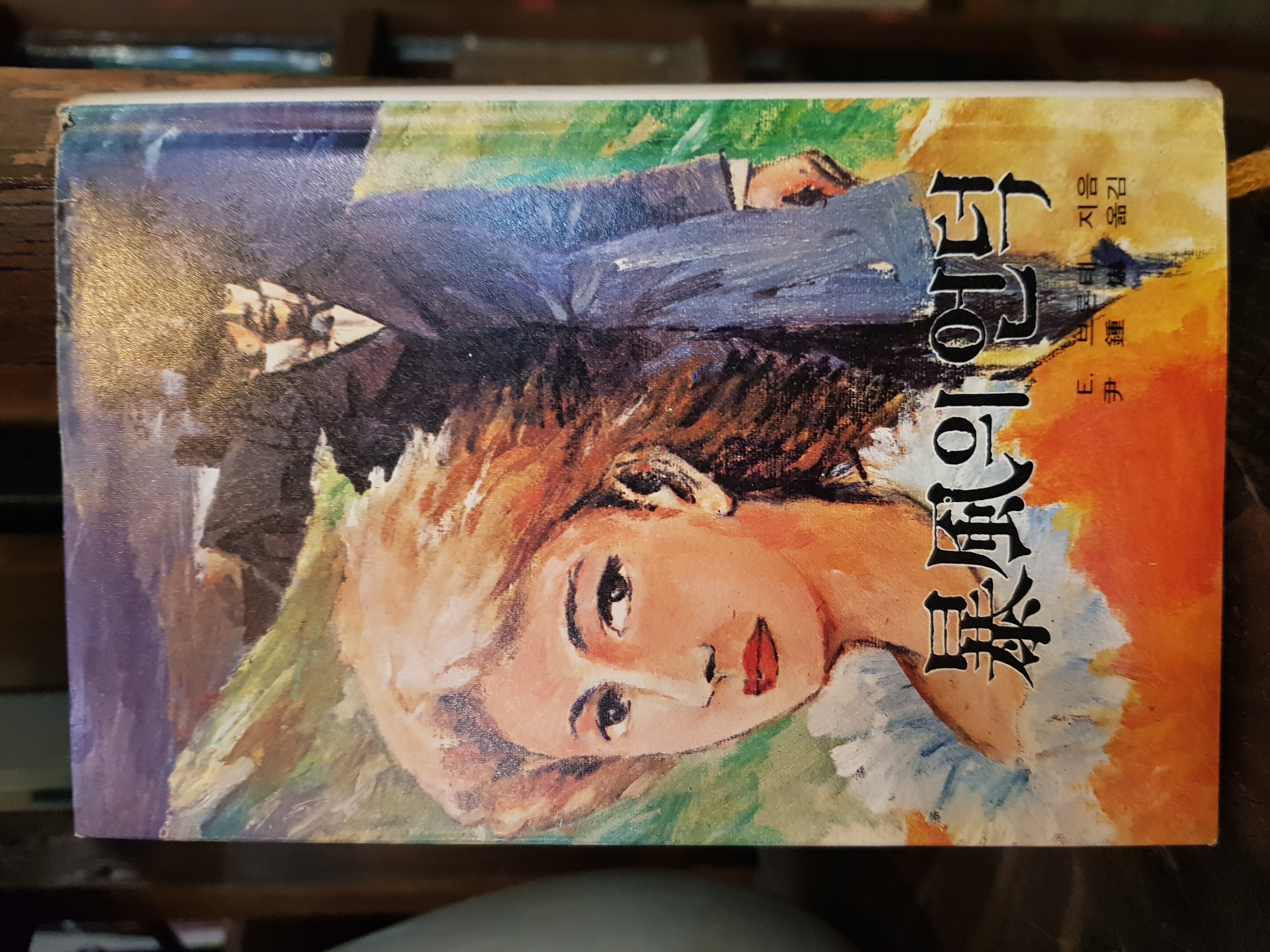 주우니어 세계문학 14 폭풍의 언덕