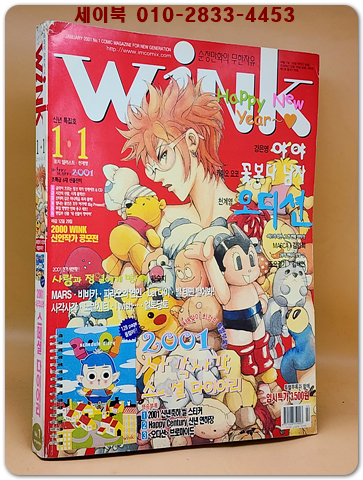 윙크(Wink) 2001년 1/1일자 
