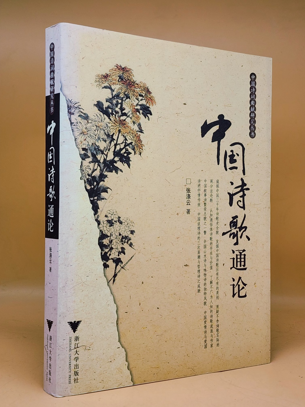 中國詩歌通論(중국 시가 통론)  <중문간체자> 상품 이미지