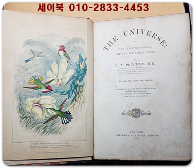Antique Illustrated Book the Universe(앤티크 일러스트 북 더 유니버스) 1870