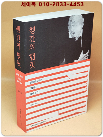 행간의 햄릿 - 강태경 교수의 <햄릿> 풀어 읽기