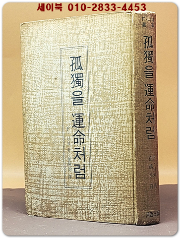 고독을 운명처럼 - 프리드리히 니이체 著 상품 이미지