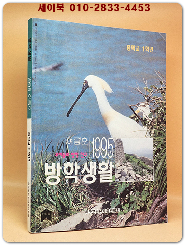 중학교 1학년 1995년 여름 방학생활