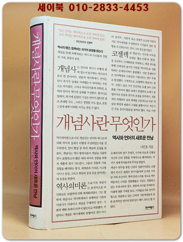 개념사란 무엇인가 : 역사와 언어의 새로운 만남