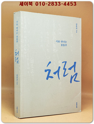 처럼 - 시로 만나는 윤동주, 2013 서울문화재단 발간지원사업 선정작 