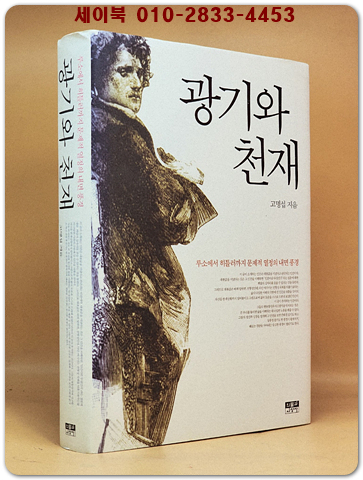 광기와 천재 - 루소에서 히틀러까지 문제적 열정의 내면 풍경