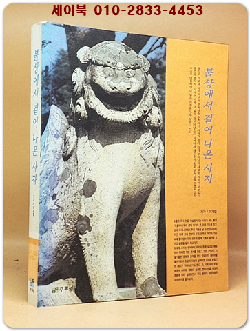 불상에서 걸어 나온 사자 상품 이미지