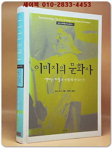이미지의 문화사 - 역사는 미술과 어떻게 만나는가 (심산 픽처링 히스토리 1)절판본