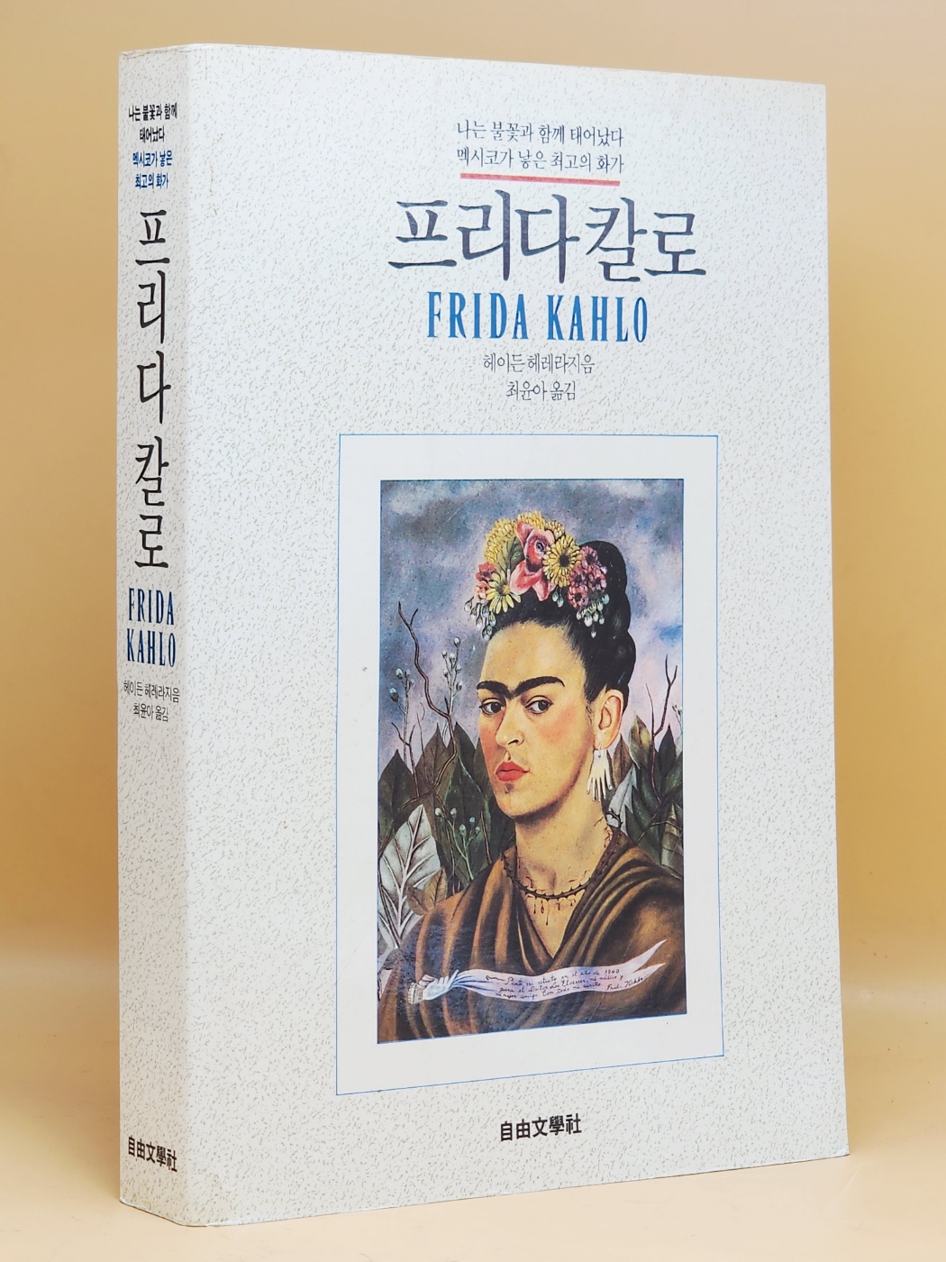 프리다 칼로 ( 멕시코가 낳은 최고의 화가) -헤이든 헤레라 지음 / 최윤아 옮김 <1992년 초판, 절판본>